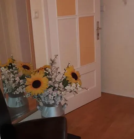 Die Ferienwohnung In Der City